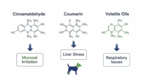 Can Dogs Have Cinnamon